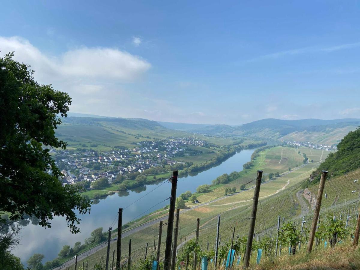 Appartement Neu!!! Moselbleibe Winzerhaus Kues à Commune fusionnée de Commune fusionnée de Bernkastel-Kues Extérieur photo